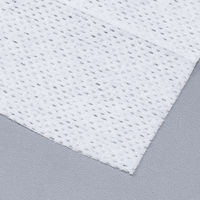 昭和紙工 昭和99.9&除菌 極厚ウェットティッシュ 20枚入 2個パック 4957434009122 1パック(20枚入×2袋)