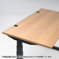 サンワサプライ 電動上下昇降デスク ERD-M14070BKLM 1台（直送品）