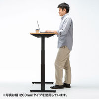 サンワサプライ 電動上下昇降デスク ERD-TW10050LM 1台（直送品）