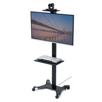 サンワサプライ カメラ台付きディスプレイスタンド CR-LAST35 1個（直送品）