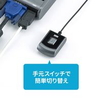 サンワサプライ パソコン切替器(エミュレーション非搭載・手元スイッチ付き) SW-KVM2UUSN2 1個