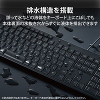 エレコム フルキーボード/有線/静音設計/抗菌/ブラック TK-FCM114SKBK 1個（直送品）