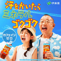 伊藤園 エコ ラベルレス 健康ミネラルむぎ茶 600ml 1箱（24本入）（わけあり品）