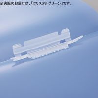 LIHIT LAB. ルーパーファイル クリスタルグリーン F3006-5P-19 1箱（25冊：5冊入×5袋）