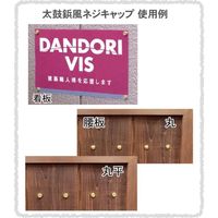 ダンドリビス DANDORI VIS 太鼓鋲風ネジキャップ 生地 丸平 10号箱 1箱（直送品）
