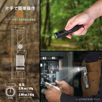 NICRON B74i 首振り 600LM 1個（直送品）