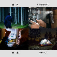 NICRON B74Pro 首振り 1000LM 1個（直送品）