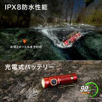 NICRON C1R ポケットライト レッド 1200LM C1-R 1個（直送品）