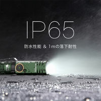 NICRON L74mini G 首振り グリーン 400LM L74mini-G 1個（直送品）