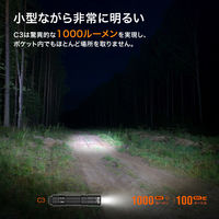 NICRON C3ポケットライト 1000LM C3 1個（直送品）