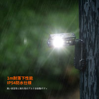 NICRON D10 ヘッドライト 500LM 1個（直送品）