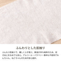 ペット用 ウェットティッシュ ノンアルコール (70枚入×12個) 犬 猫 オリジナル