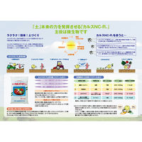 リサール酵産 カルスNCーR 10kg 2袋入り 284158 1個（直送品）