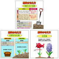 東商 球根の肥料 350g 286634 1個（直送品）