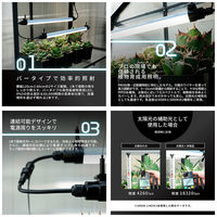 BARREL GROWLINE ブラック 5000K 355913 1個（直送品）