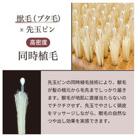 アヌシ Oval 獣毛ブラシAOJ-1000 82439 1個（直送品）