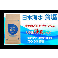 日本海水 食塩 5kg 1セット（1個×４）業務用 大容量