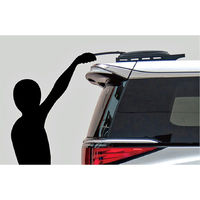 SOFT99 ALAUNEN ながロングスポンジ 車 洗車 C-165 1個（直送品）