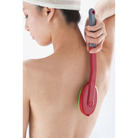 あいおらいと 本場韓国式あかすりブラシ 79995 1個（直送品）