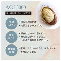 アヌシ Oval ゴールドピンブラシAOJ-3000 82438 1個（直送品）