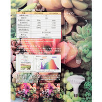 BARREL フューチャーライト LPL15WB 3K 304268 1個（直送品）