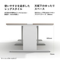 【軒先渡し】LASHデスク ティーレッグホール 幅1000×奥行1200×高さ720mm ホワイト天板/ホワイト脚 1台（直送品）