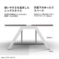 【軒先渡し】LASHデスク ラッシュホールレッグ 幅5000×奥行1400×高さ720mm オーク天板/ホワイト脚 1台（直送品）