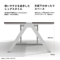 【軒先渡し】LASHデスク ラッシュホールレッグ 幅4800×奥行1200×高さ720mm ダークアッシュ天板/ブラック脚 1台（直送品）