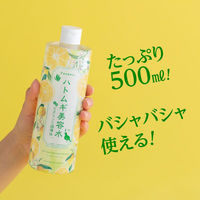 パエンナ ハトムギ美容水inビタミンC誘導体 500ml　6個　イヴ ハトムギ化粧水 ヒアルロン酸 無香料 無着色 ノンアルコール