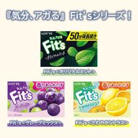 Ｆｉｔ’ｓ＜グレープミックス＞ 1セット（10個入）
