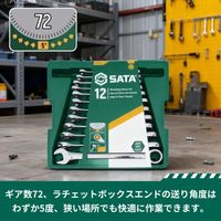 Apex Tool Group SATA コンビネーションラチェットレンチセット(12点) ST09040-02 1セット 679-1976（直送品）