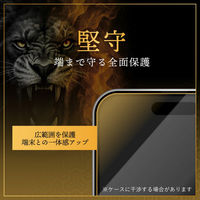 MSソリューションズ iPhone 17 Pro ガラスフィルム 覗き見防止180° GG-IP25GLFN 1個（直送品）