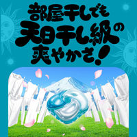 ボールド ジェルボール 4in1 フレッシュサボンの香り 本体 1セット（11粒入×6個） 洗濯洗剤 P＆G