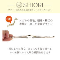【老眼鏡 リーディンググラス】栞 SHIORI SI-16 col.1 シルバー 度数 +2.50 / 1個（直送品）