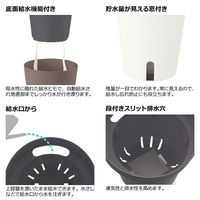 リッチェル プランター ミエルノPlusポット 15型 ホワイト 270943 1個（直送品）