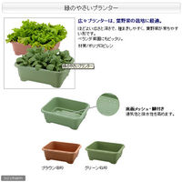 プランター リッチェル 緑のやさいプランター ５０型（グリーン）＋かんたん虫よけセット1個（直送品）