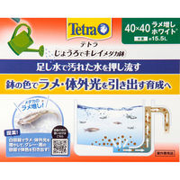 テトラ ジャパン じょうろでキレイメダカ鉢 40×40 ラメ増しホワイト 291897 1セット(3個)（直送品）