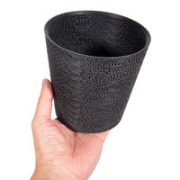 bachi 多肉植物 Gyropot 阿智(あち) 4号鉢 298563 1個（直送品）