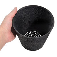 bachi 多肉植物 Gyropot 阿智(あち) 5号鉢 298564 1個（直送品）