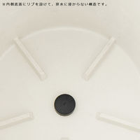 リッチェル 鉢 ボタニー ハイドポット 19型 ホワイト 306839 1個（直送品）