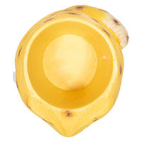 ケー・イー・アイ 鉢 リトルレジンポット レオパードゲッコー 314363 1個（直送品）