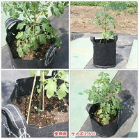 大樹トレーディング プランター タフガーデンバッグ GB直径40H35(cm) 50795 1個（直送品）