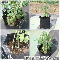 大樹トレーディング プランター タフガーデンバッグ GB直径30H30cm 58544 1個（直送品）