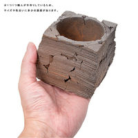 リーフ 鉢 信楽焼 COM WORK STUDIO作 MBー3 930573 1個（直送品）