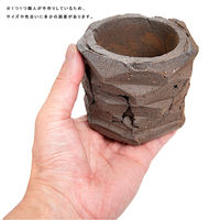 リーフ 鉢 信楽焼 COM WORK STUDIO作 MBー4 930574 1個（直送品）