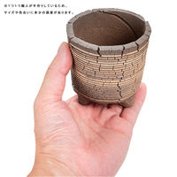 リーフ 鉢 信楽焼 COM WORK STUDIO作 CMBー5 930580 1個（直送品）