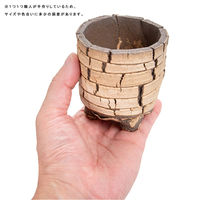 リーフ 鉢 信楽焼 COM WORK STUDIO作 CMBー7 930582 1個（直送品）