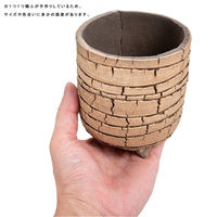 リーフ 鉢 信楽焼 COM WORK STUDIO作 CLLBー7 930583 1個（直送品）