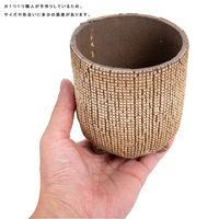 リーフ 鉢 信楽焼 COM WORK STUDIO作 CLLBー8 930585 1個（直送品）