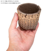 リーフ 鉢 信楽焼 COM WORK STUDIO作 CMBー9 930586 1個（直送品）